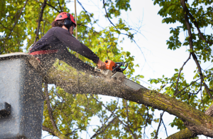 mora-property-service-east-texas-tree-services-commercial-residential-storm-emergency-1