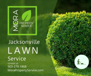 Jacksonville lawn services